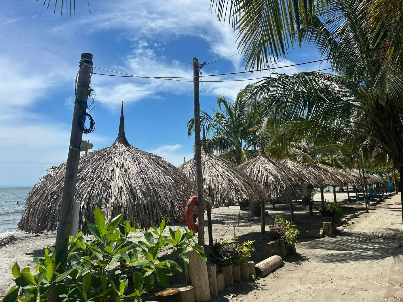 Sombrillas de palma en la playa de Necoclí