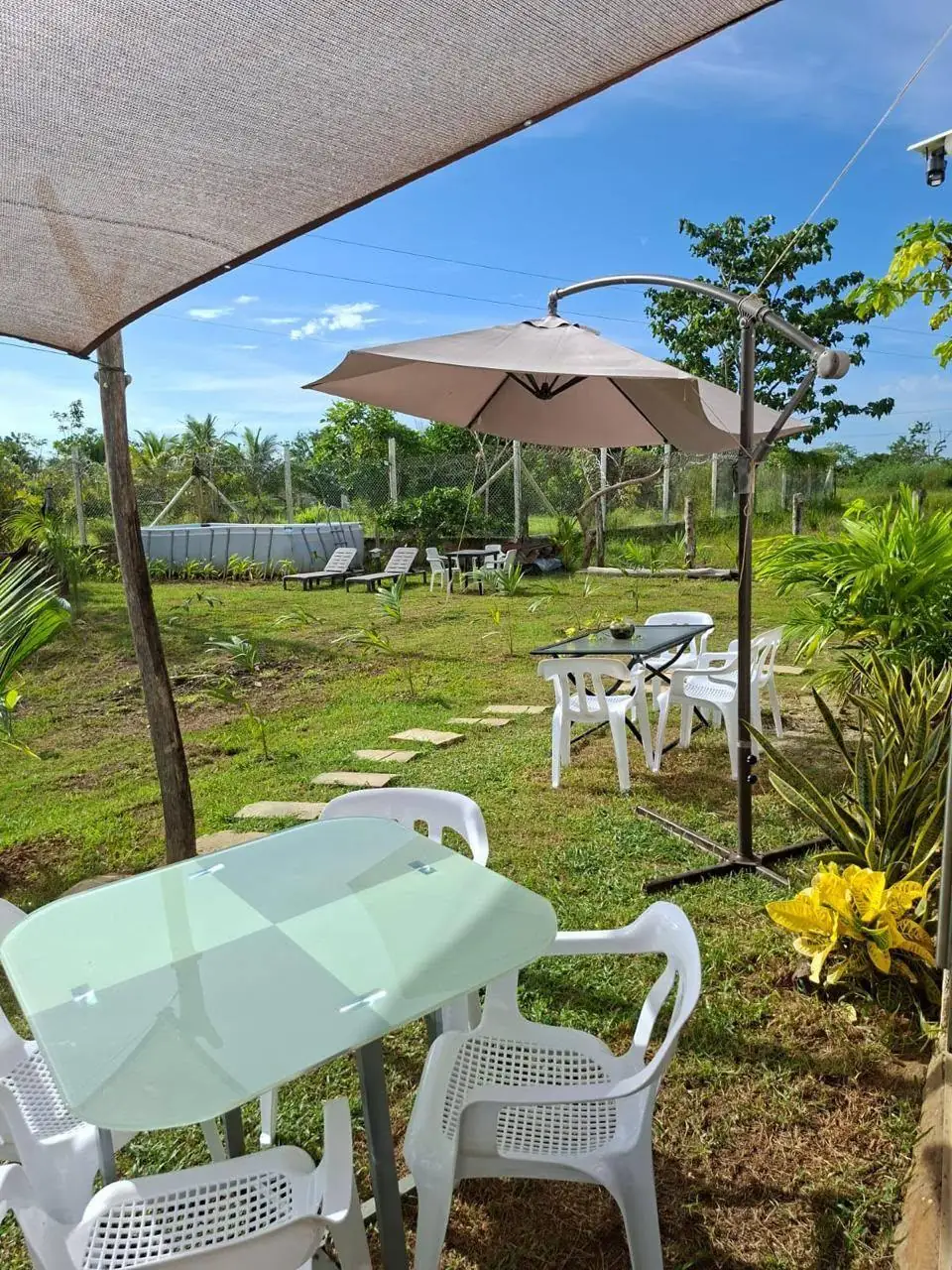 Jardín tropical con vista a la piscina