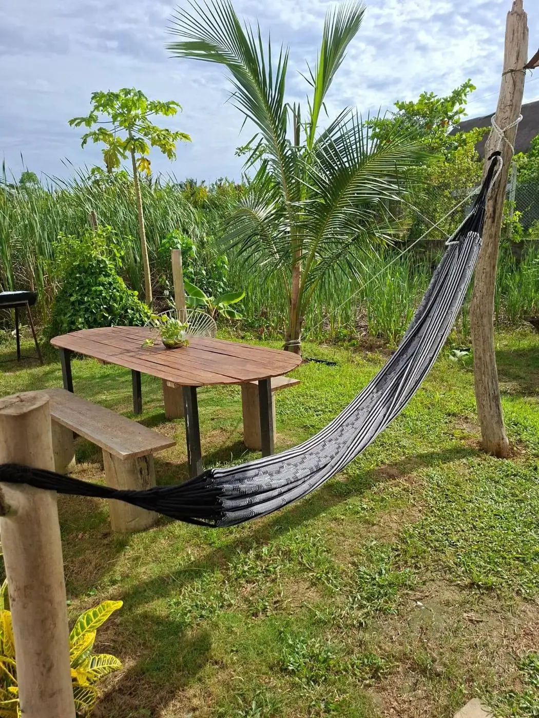 Hamaca junto a una mesa en Villa Sofía