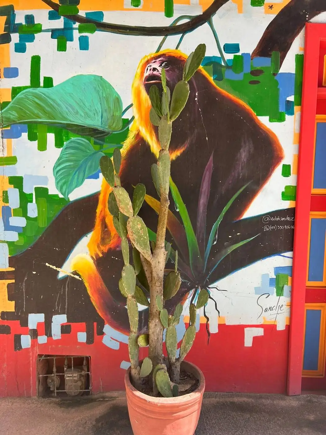 Mural de fauna tropical en Necoclí