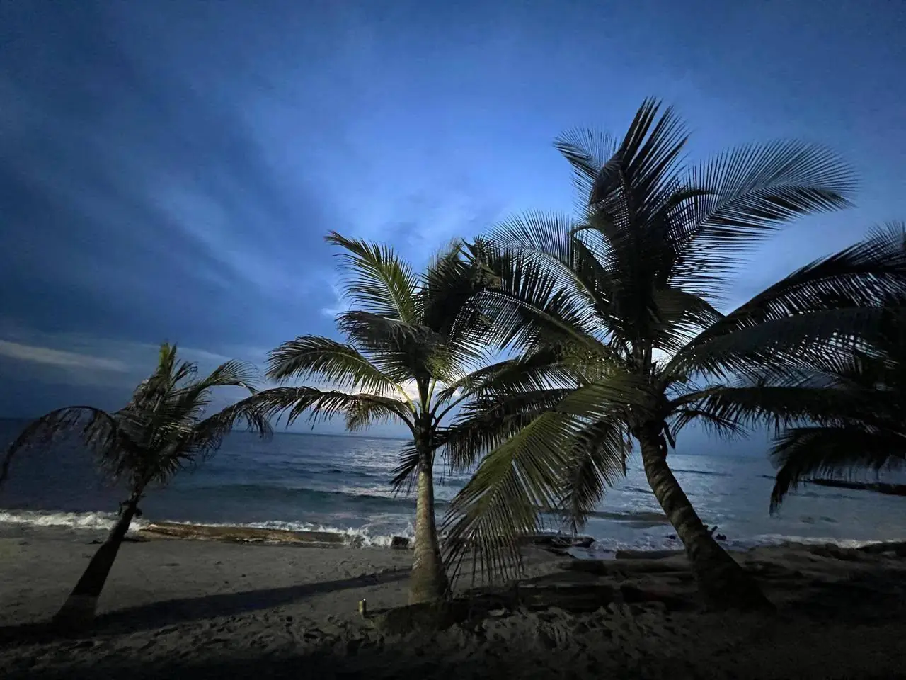 Palmeras al anochecer en Necoclí